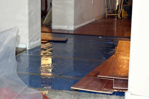Professional Basement Water Removal technician working in Hanover, NH